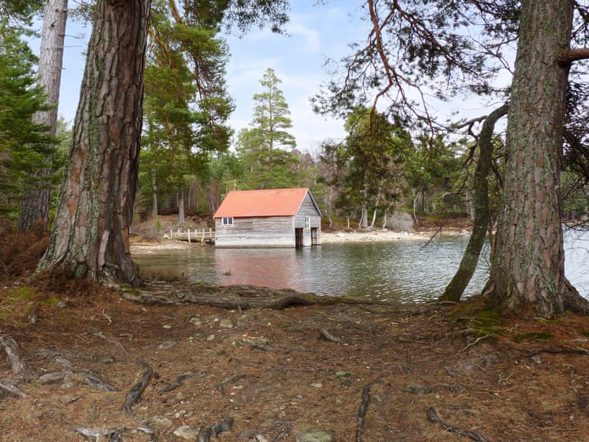 Surrounding area | Rowlands, Aviemore