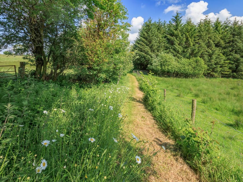 Surrounding area | Neuaddlas Country House, Tregaron, near Aberystwyth