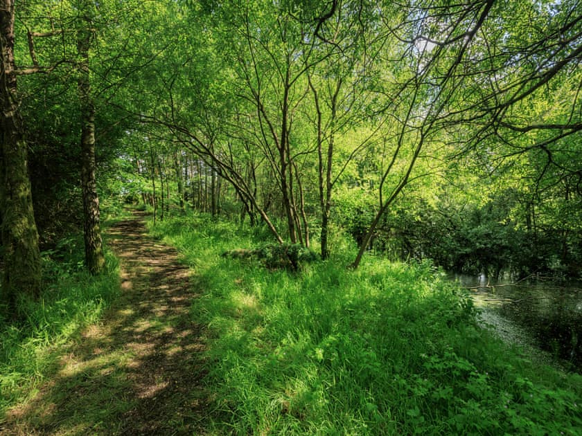 Surrounding area | Neuaddlas Country House, Tregaron, near Aberystwyth