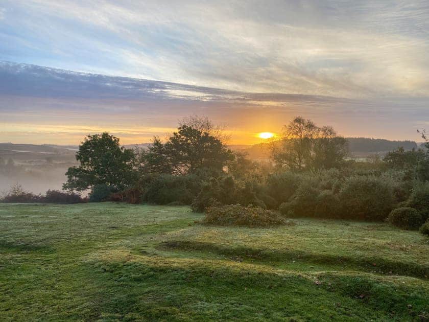 Lots of beautiful walks straight from your door. | The Annexe @ The Roost, Frogham, near Fordingbridge