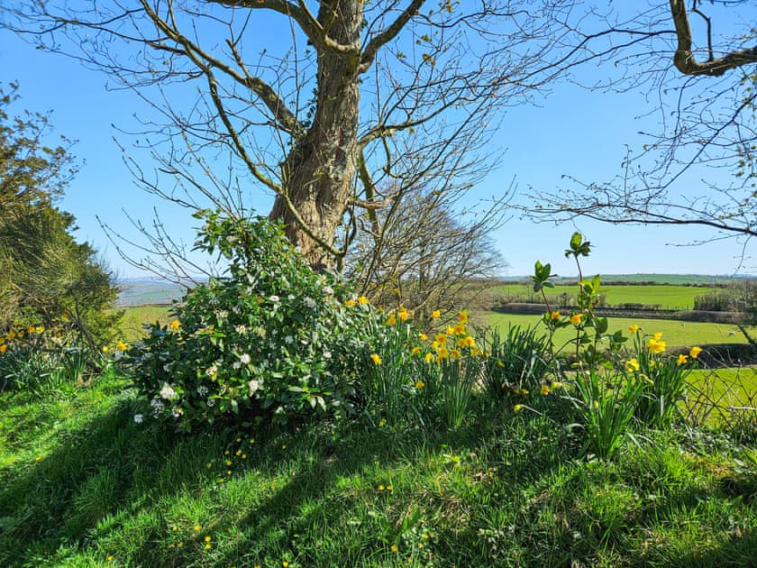 Surrounding area | Beudy Bach - Bwlch Y Person Barns, Dihewyd, near Aberaeron
