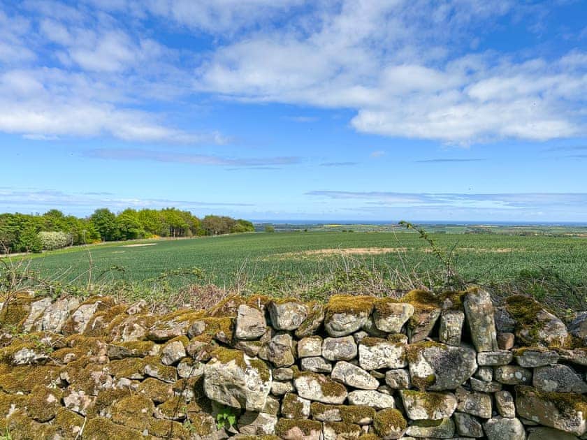 Surrounding area | Bellshill Tower - UKG_896 : Bellshill Cottages, Belford, near Bamburgh