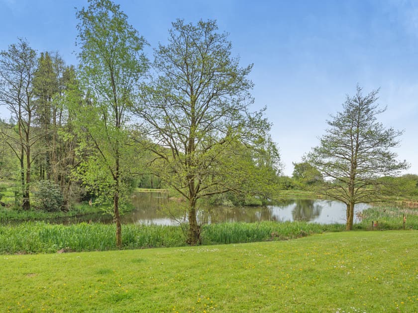 Surrounding area | Owl Cottage - Maesydderwen Holiday Cottages, Llandeilo