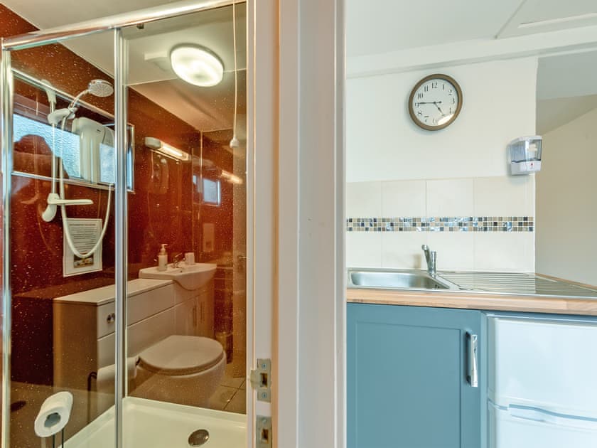 Shower room | The Lodge - Maesydderwen Holiday Cottages, Llandeilo