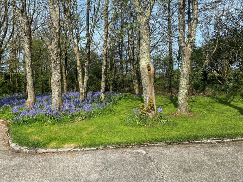 Surrounding area | Morwenna - Morwenna and Demelza Apartments, Truro