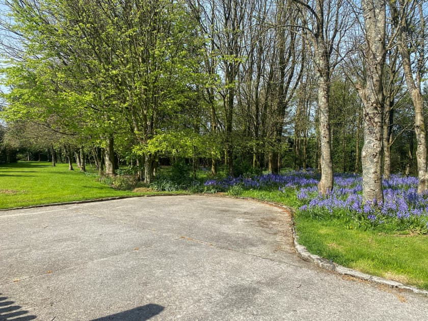 Surrounding area | Morwenna - Morwenna and Demelza Apartments, Truro