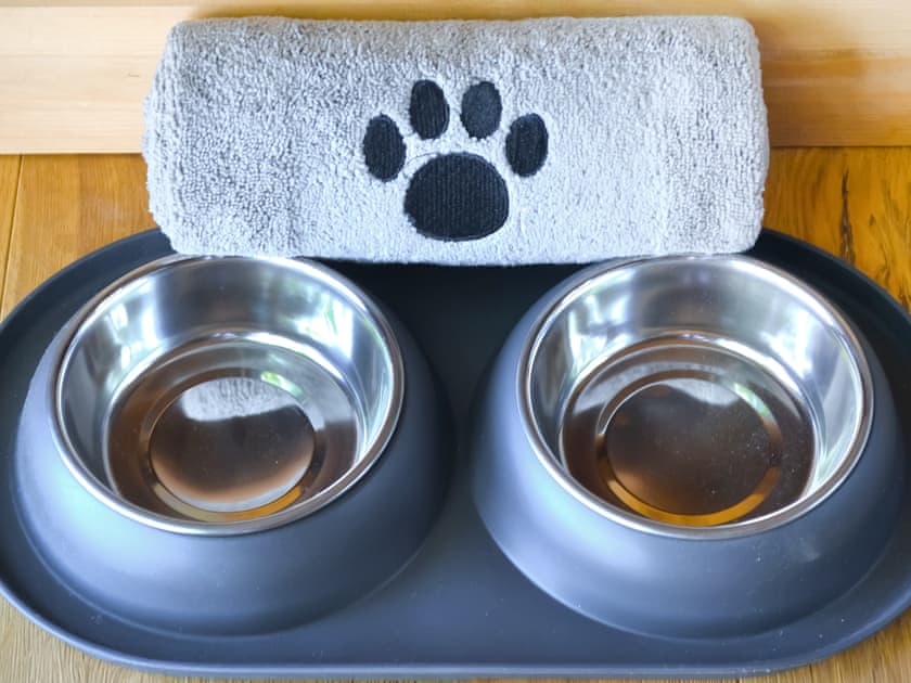 Dog friendly | The Shepherd’s Rest, Castle Douglas