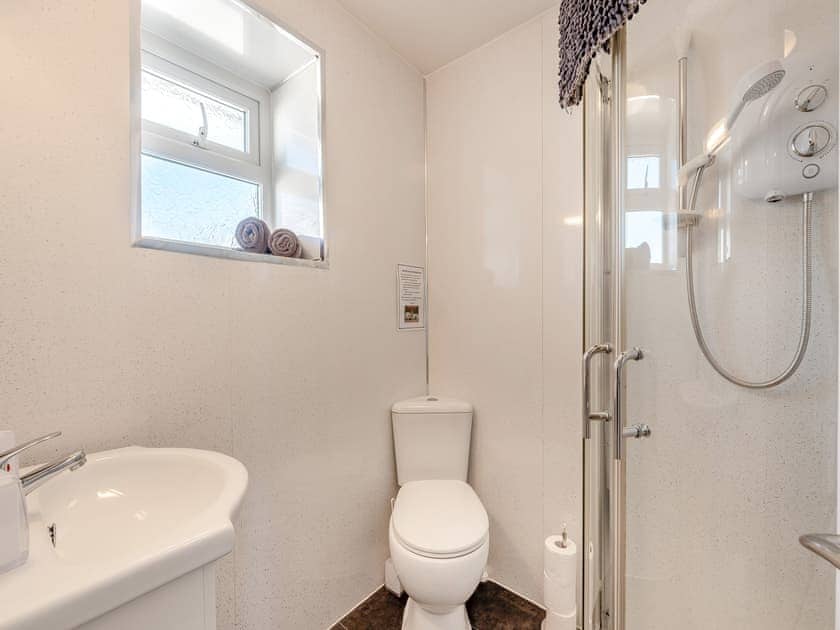 Shower room | Robin Cottage - Maesydderwen Holiday Cottages, Llandeilo