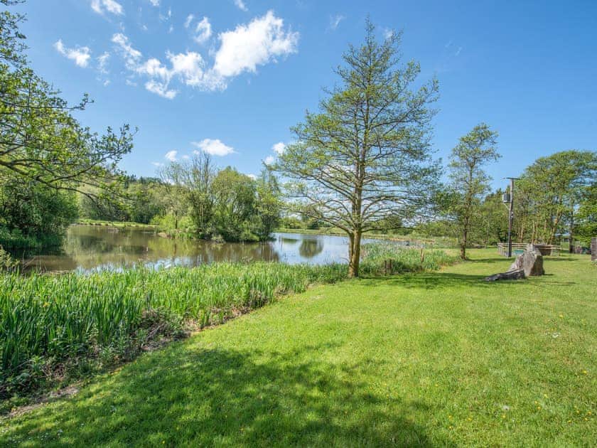 Surrounding area | Robin Cottage - Maesydderwen Holiday Cottages, Llandeilo