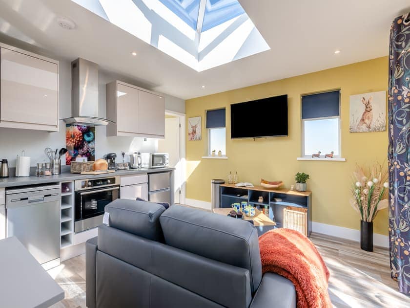 Open plan living space | Peacock Lodge, Thurlton