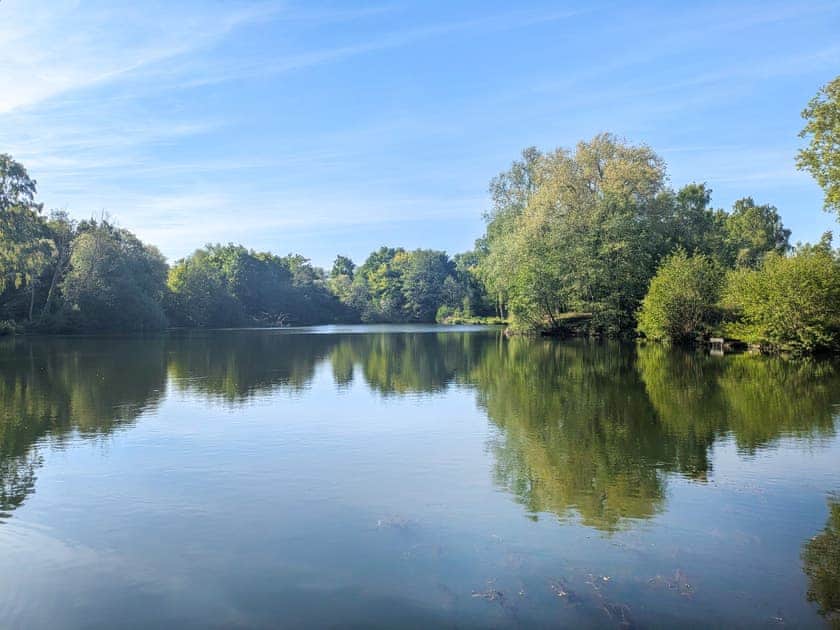 Local area suitable for dog walks | Dove Cottage - Wissett Place Cottages, Halesworth