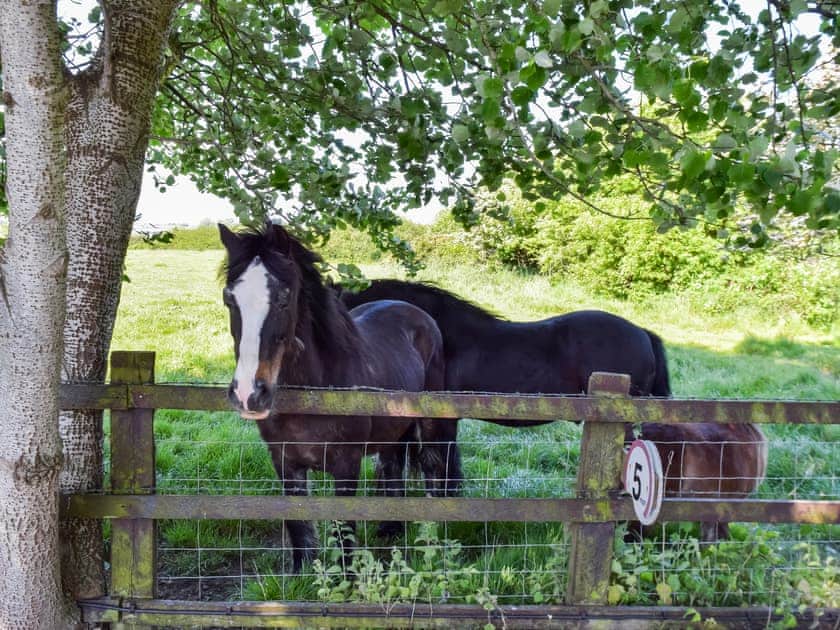 Surrounding area | Swallow Cottage - Swans Rest, Singleton, near Poulton-Le-Fylde