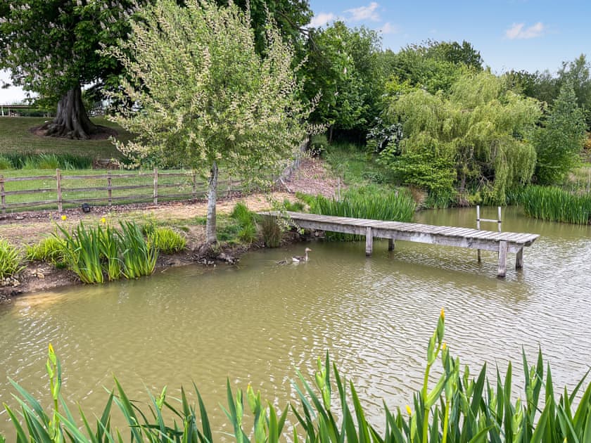 Wildlife pond in the 4 acre shared natural grounds at Greetham Retreat  | Katies Corner - Greetham Retreat, Greetham, near Horncastle
