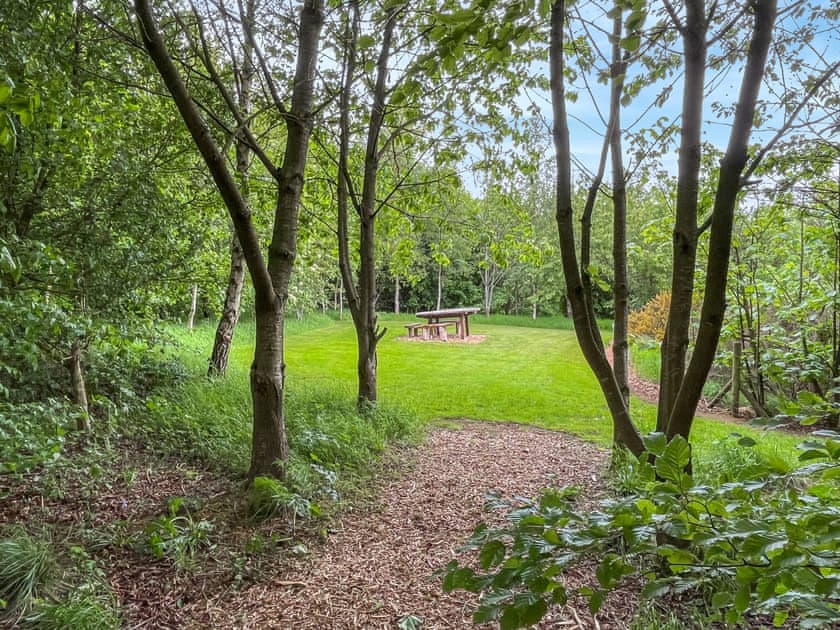 Woodland area in 4 acres of natural grounds at Greetham Retreat  | Katies Corner - Greetham Retreat, Greetham, near Horncastle