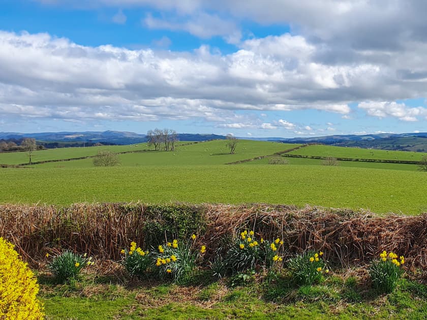 View | Green Lane Cottage, Aberhafesp, near Newtown