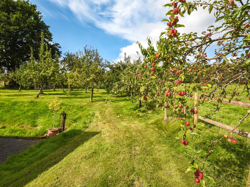 Garden | The Old Barn, Church Stretton