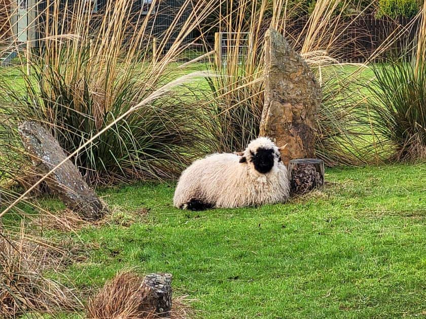 Surrounding area | Cater Tober Haven, Watten, near Wick