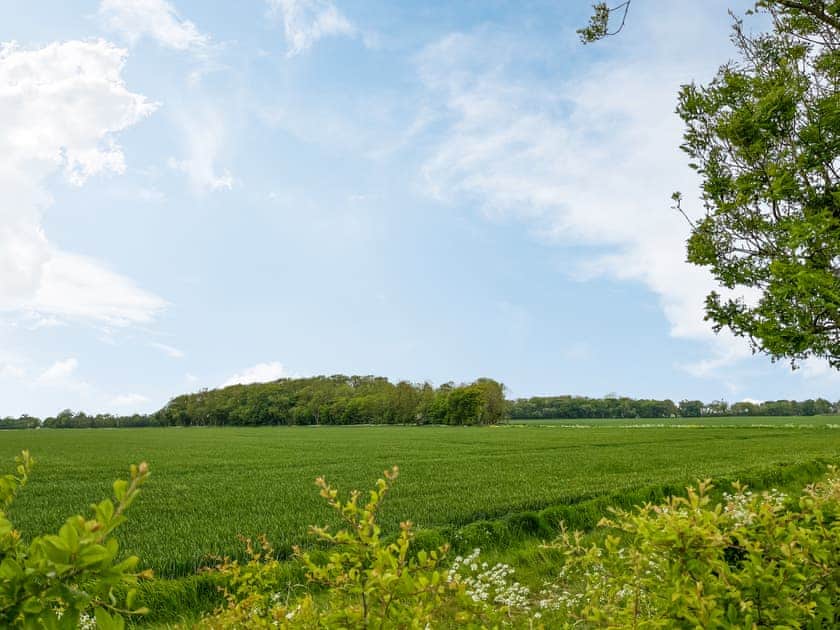 Exterior | Carol Ann - K&K Holidays, Patrington Haven