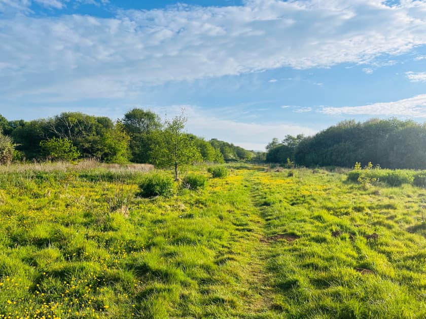 Field down pathway from property | Black Pan Holiday Cottage, Lake, near Shanklin