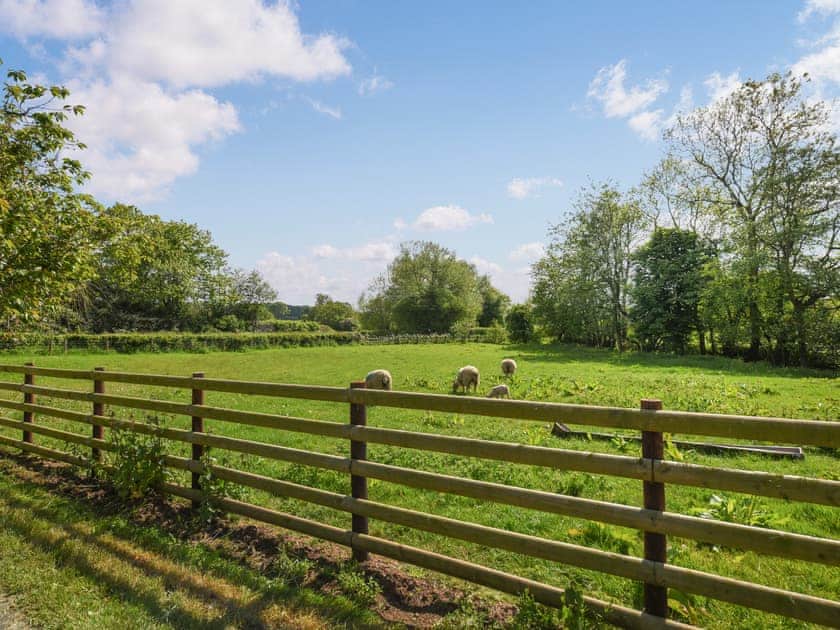 View | Ford Farm, Ludlow