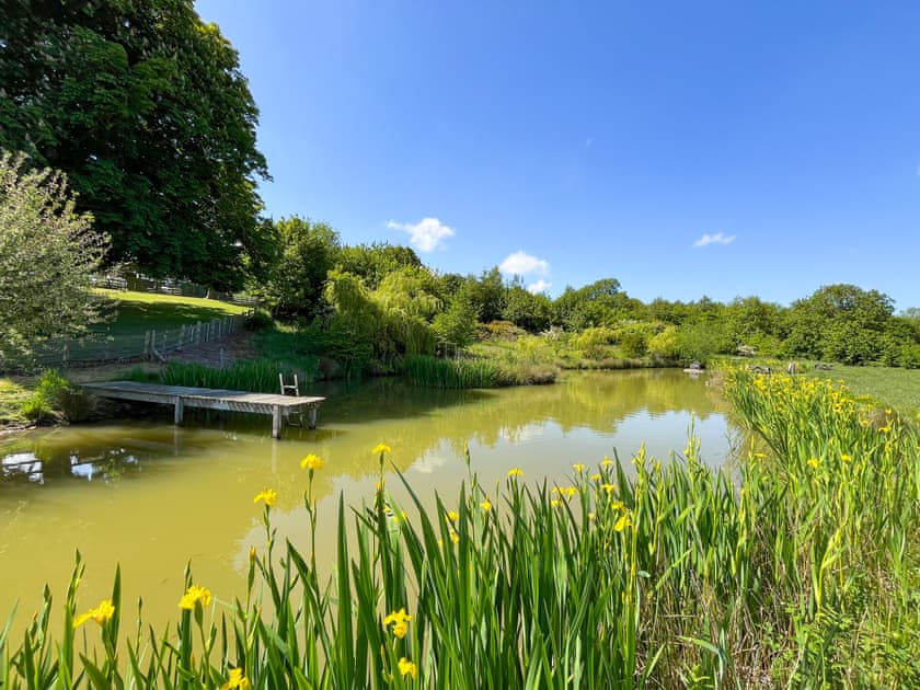 Wildlife pond in shared 4 acre natural grounds at Greetham Retreat  | Lauras Loft - Greetham Retreat, Greetham, near Horncastle