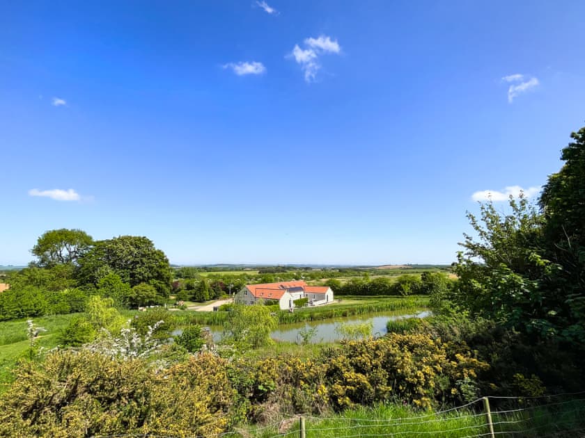4 acres of private shared natural grounds surounding the holiday cottages  | Katies Corner - Greetham Retreat, Greetham, near Horncastle