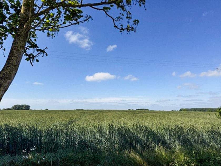 Exterior | Shepherds Hut - Lilac Retreats, King’s Lynn