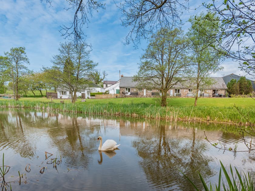 Exterior | Kingfisher - Maesydderwen Holiday Cottages, Llandeilo