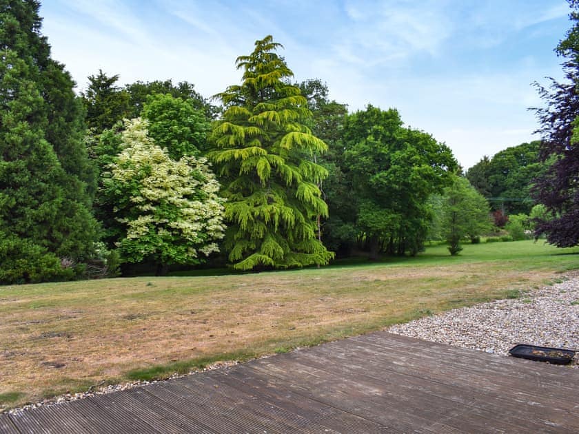 Garden and grounds | Spring Vale Bungalow, Colchester