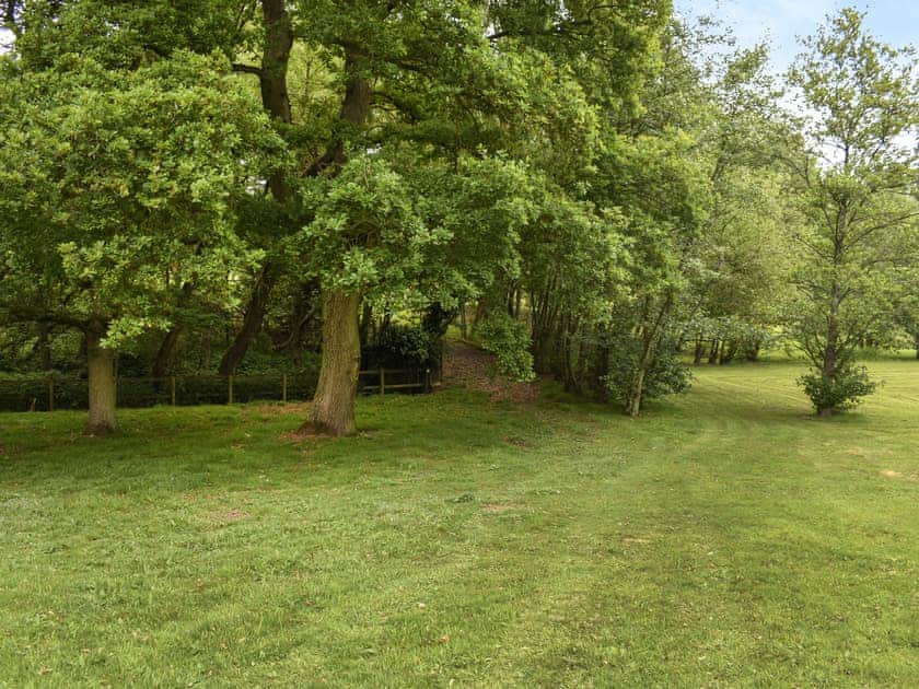 Garden and grounds | Spring Vale Bungalow, Colchester
