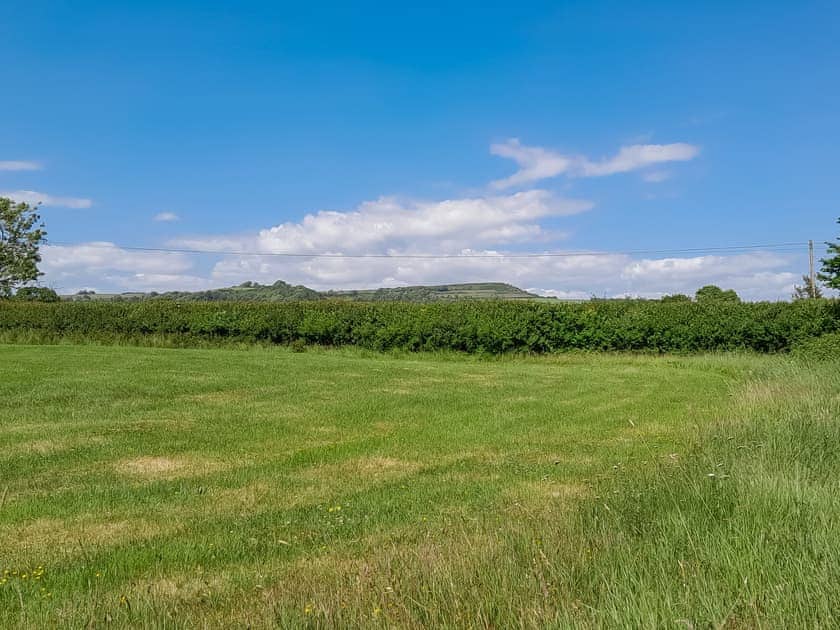 Surrounding area | Cowdea 2, Bettiscombe