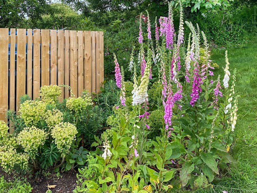 dog friendly paddock / outside seated area | Swallows - Treligga Farm Cottages, Treligga, near Port Isaac