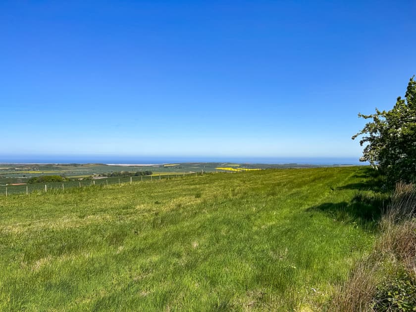 A snippet of our 20+ acres of private woodland to explore including a large open paddock with uninterrupted views of Holy Island and Bamburgh Castle | Bellshill Tower - UKG_896 : Bellshill Cottages, Belford, near Bamburgh