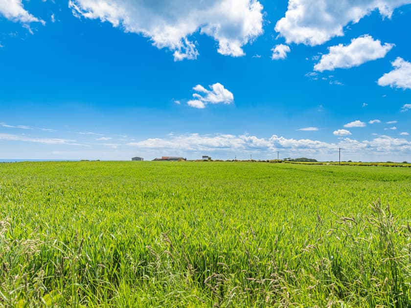 Surrounding area | Home Bay, Flamborough