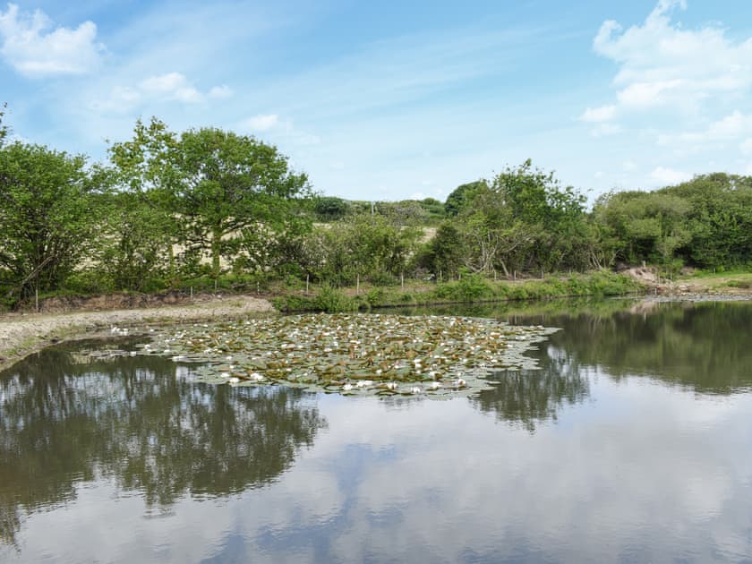 Surrounding area | Hosta House - Tor View Cottage Holidays, Trebell Green, near Bodmin