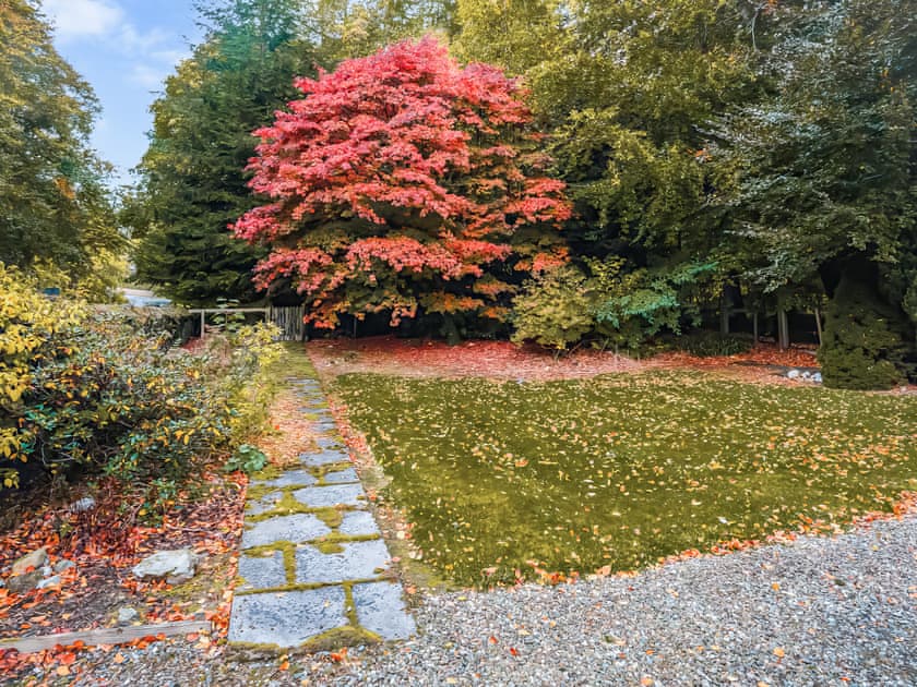 Outdoor | South Lodge - The Burn, Brechin
