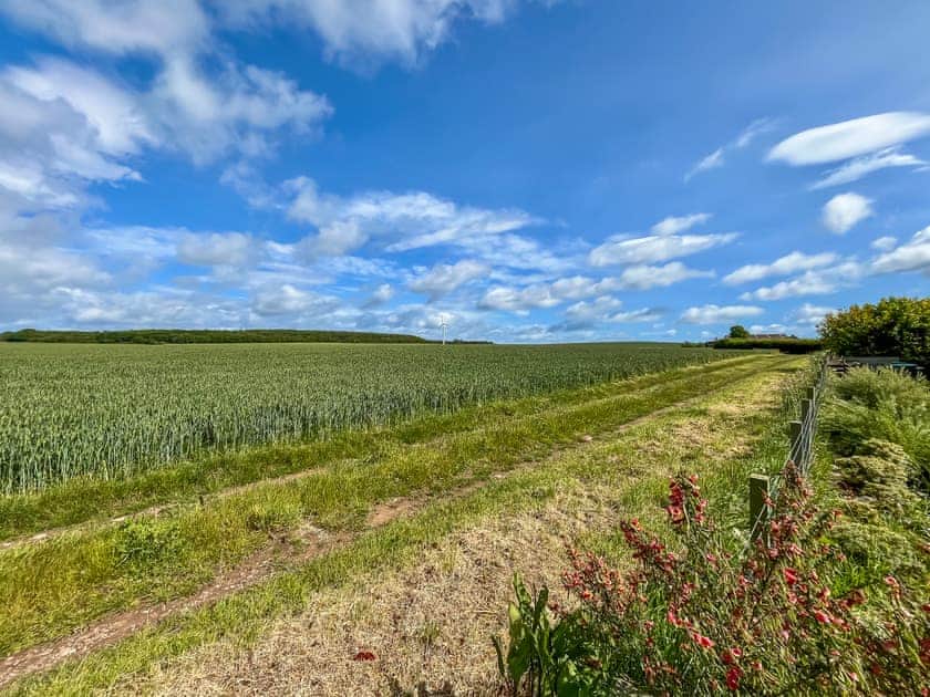 Surrounding area | Jasmine Cottage, Montrose