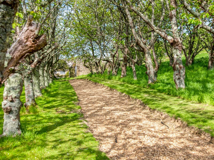 Surrounding area | Willow Yurt - Walnut Farm, Beaminster