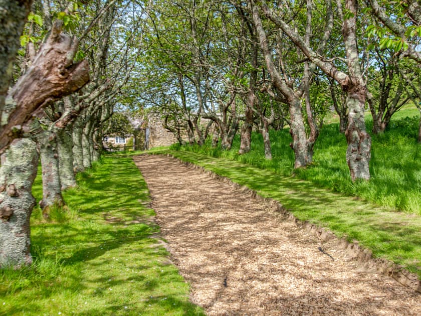 Surrounding area | Bracken Yurt - Walnut Farm, Beaminster
