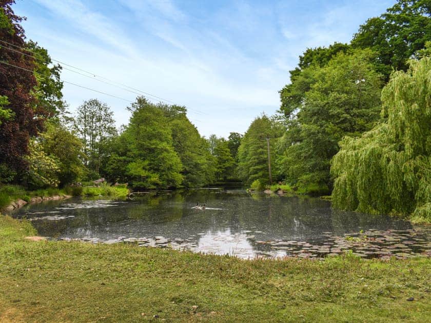 Garden and grounds | Spring Vale Bungalow, Colchester