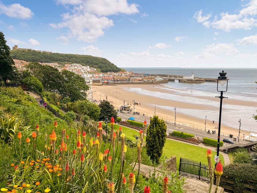 Surrounding area | The Rise, Scarborough