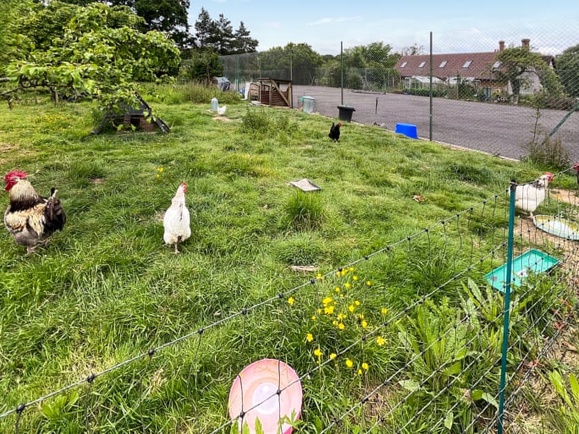 Surrounding area | Railway Carriage - Moat Farm Glamping, Shadowhurst, near Ashford