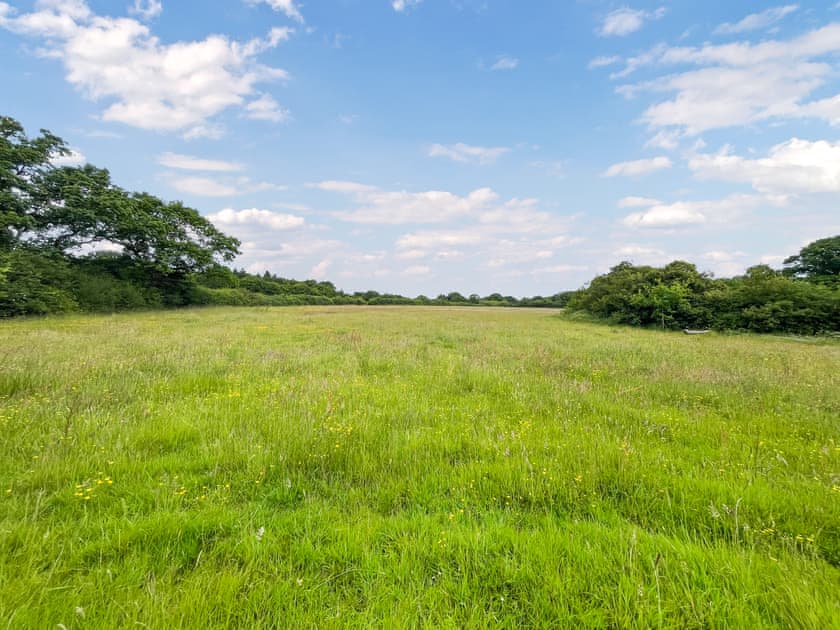View | Water Vole - Moat Farm Glamping, Shadoxhurst, Ashford