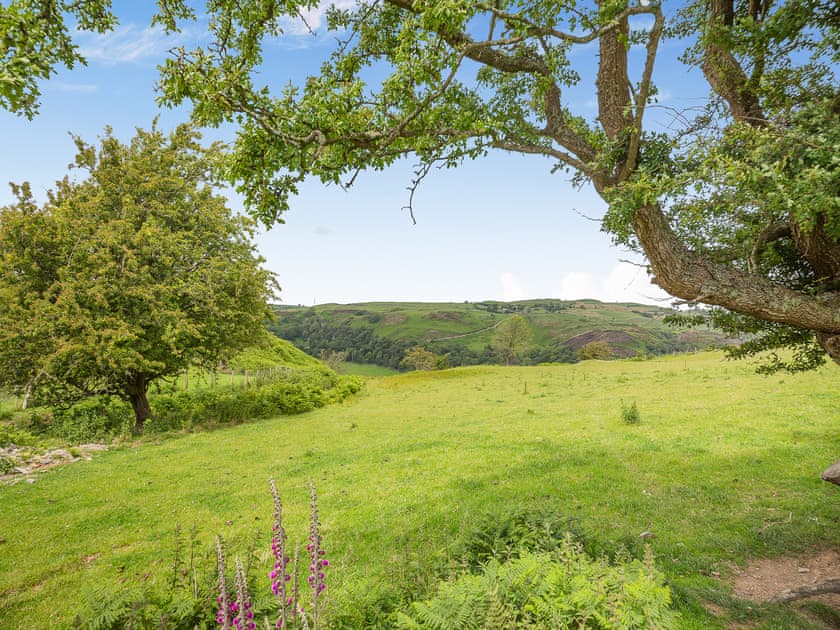 View | Pyllau Gleision, Abergele