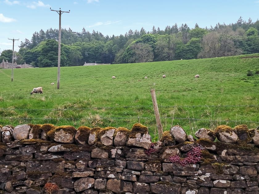 Surrounding area | Railway Cottage, Stanhope, near Bishop Auckland