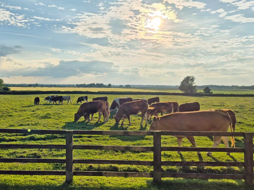 View | The Owls Rest, Aike, near Beverley