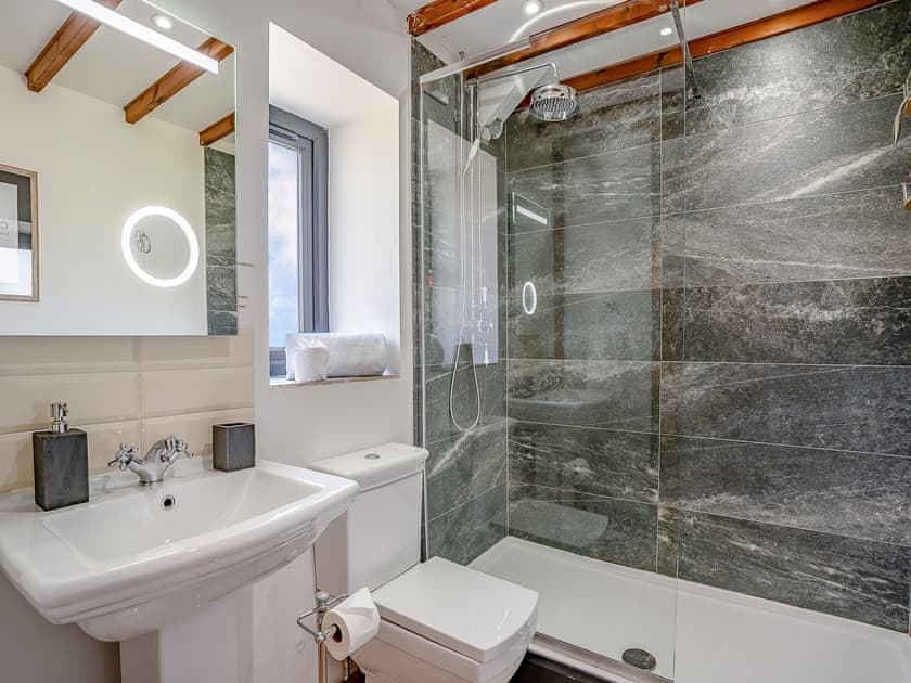 Shower room | The Old Cowsheds 4 - Daniel Ddu - Gaer Cottages, Cribyn, Lampeter
