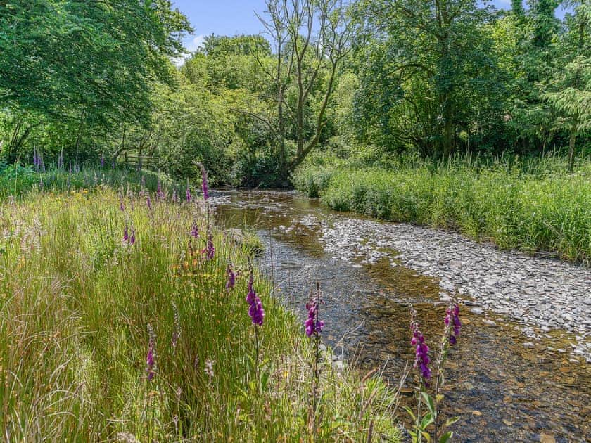 Surrounding area | The Old cowsheds 5 -Llanilar - Gaer Cottages, Cribyn, Lampeter