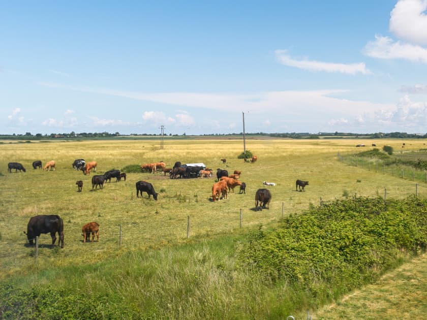 Outdoor | Humperdink, St Osyth, near Clacton on Sea