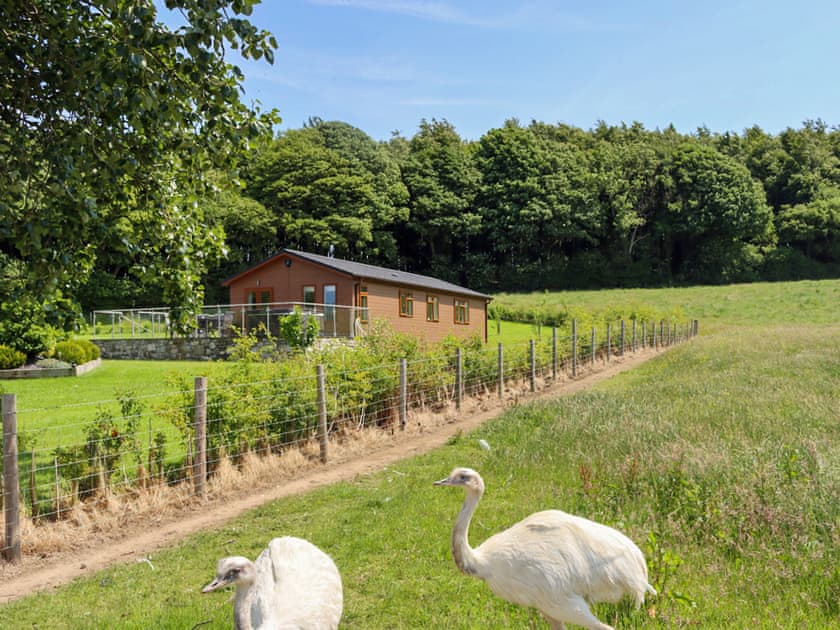 Setting | Holly Lodge - Holly and Pines Holidays, Holywell